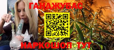 амф Гай