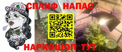 амф Гай